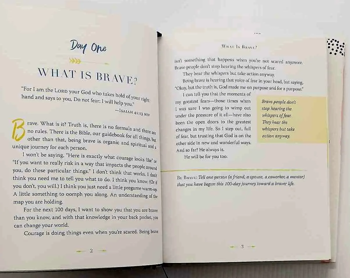 100 DAYS TO BRAVE - Annie F. Downs