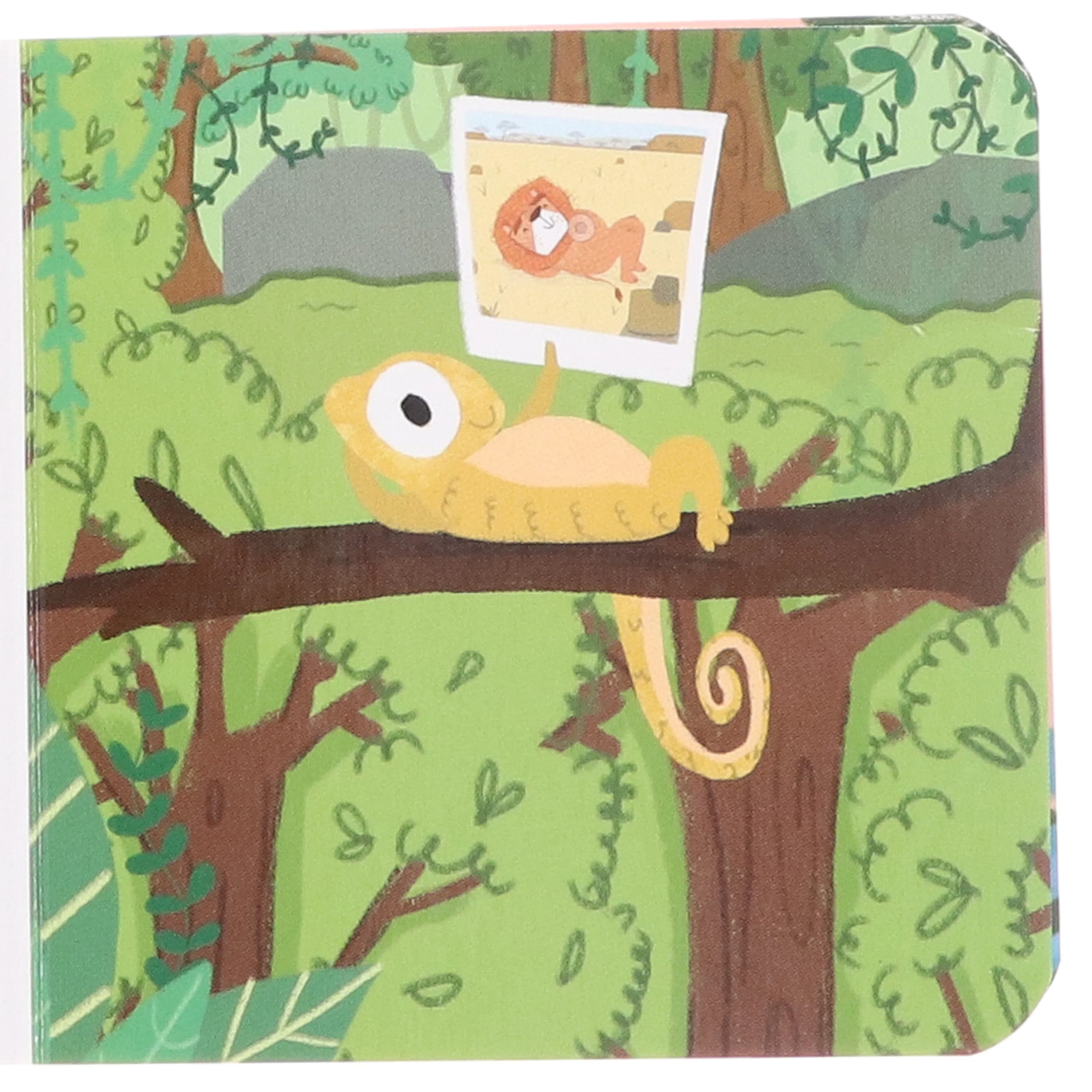 A Case of Wild Animals by Sweet Cherry Publishing 12 Books Collection Box Set - Ages 3-5 - Board Book