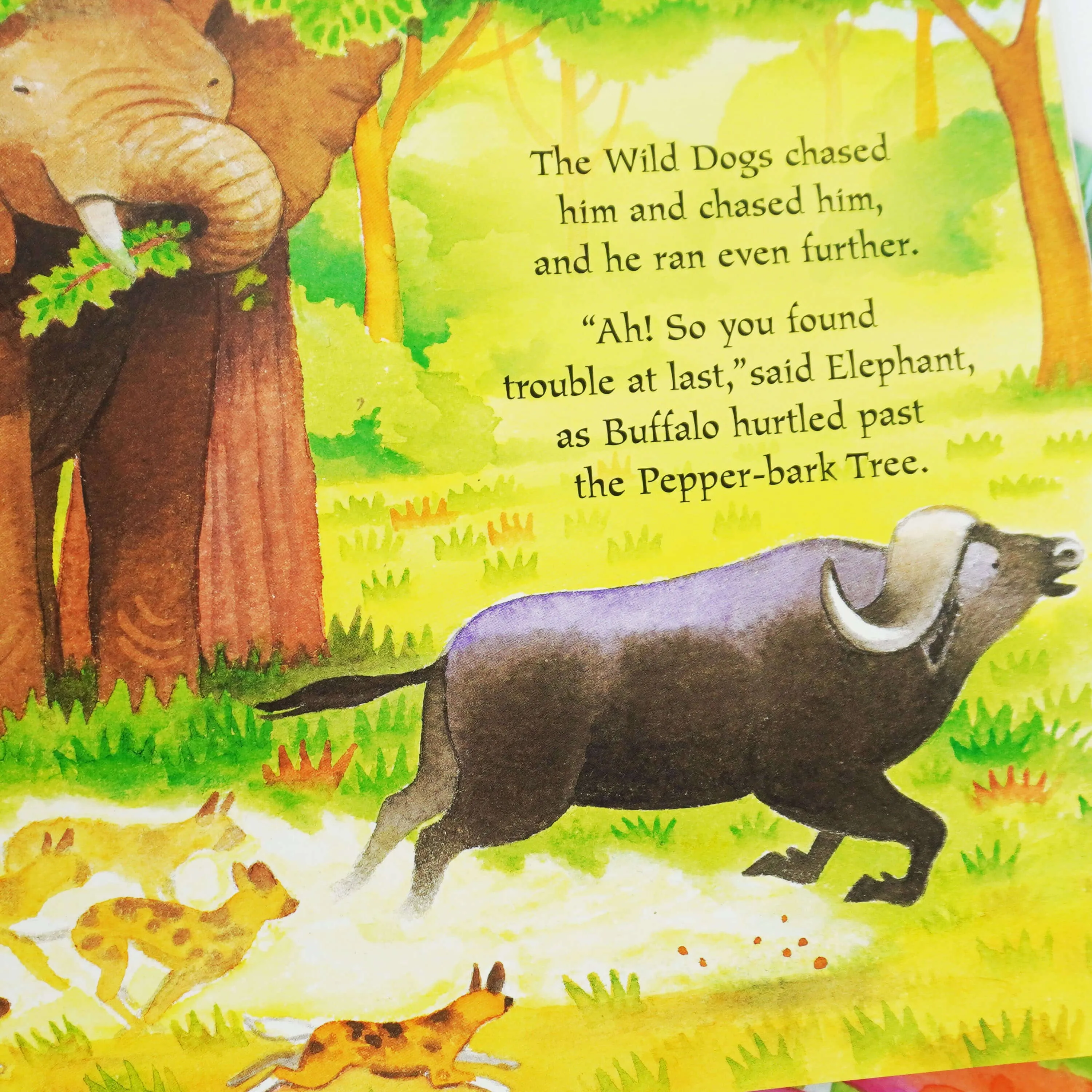 African Animal Tales Series by Mwenye Hadithi: 6 Books Collection Set - Ages 6-11 - Paperback