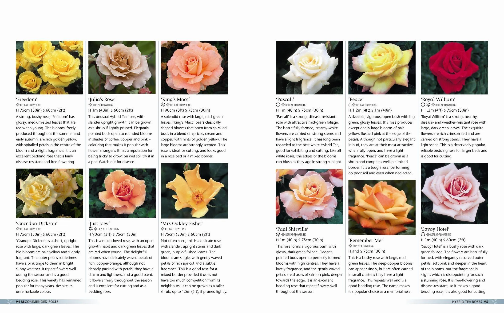 Alan Titchmarsh How to Garden: Growing Roses- Paperback