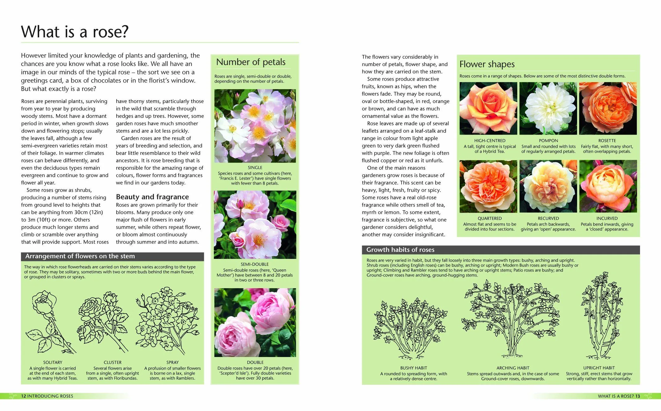 Alan Titchmarsh How to Garden: Growing Roses- Paperback