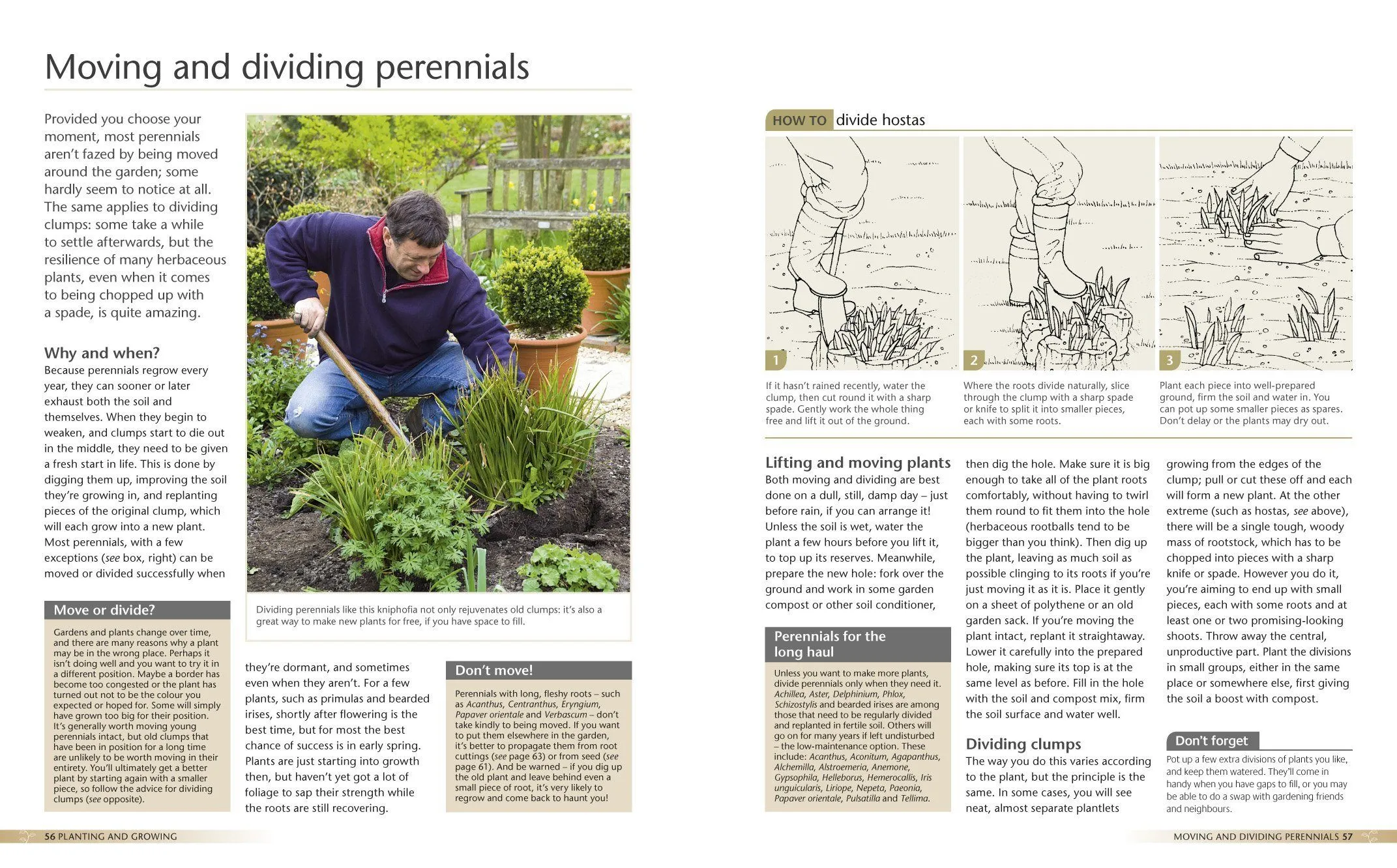 Alan Titchmarsh How to Garden: Perennial Garden Plants - Paperback