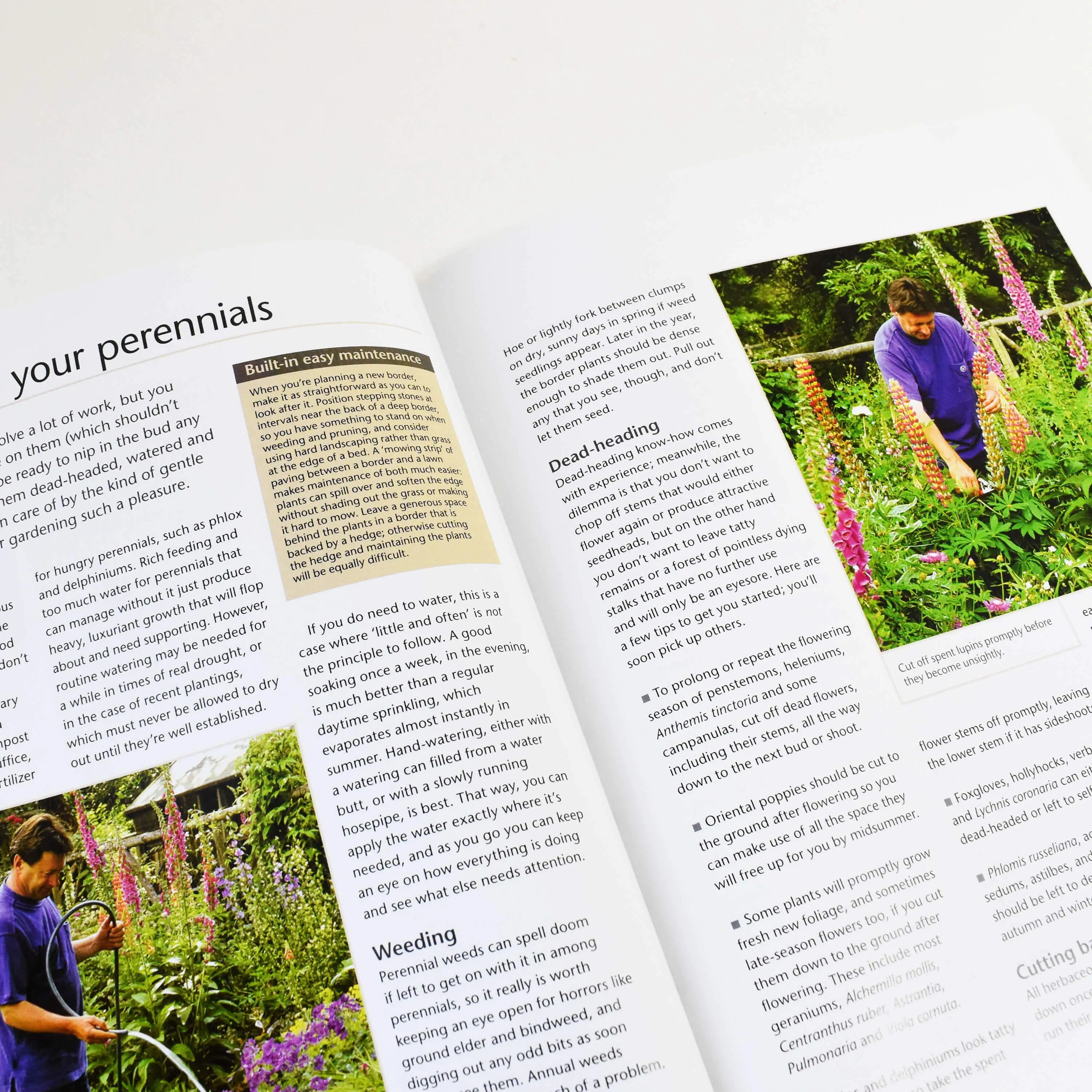 Alan Titchmarsh How to Garden: Perennial Garden Plants - Paperback