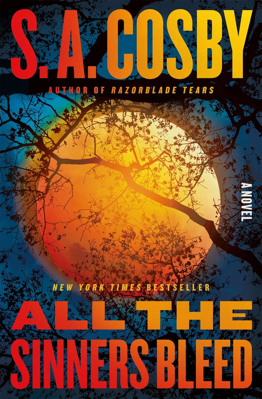 All the Sinners Bleed : A Novel Cleary's
