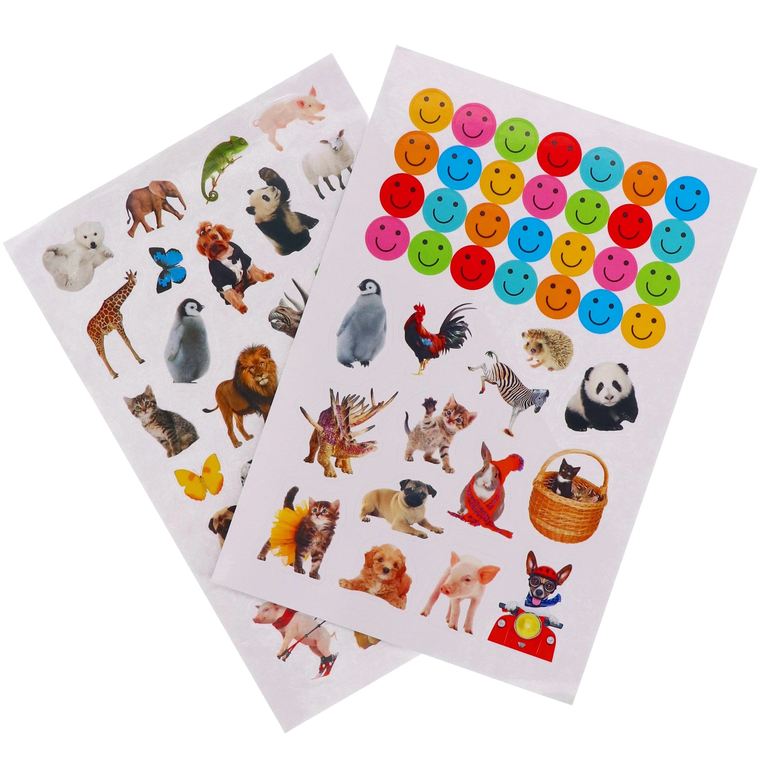Amazing Animals By Make Believe Ideas 10 Readers Box Set - Ages 4  - Paperback