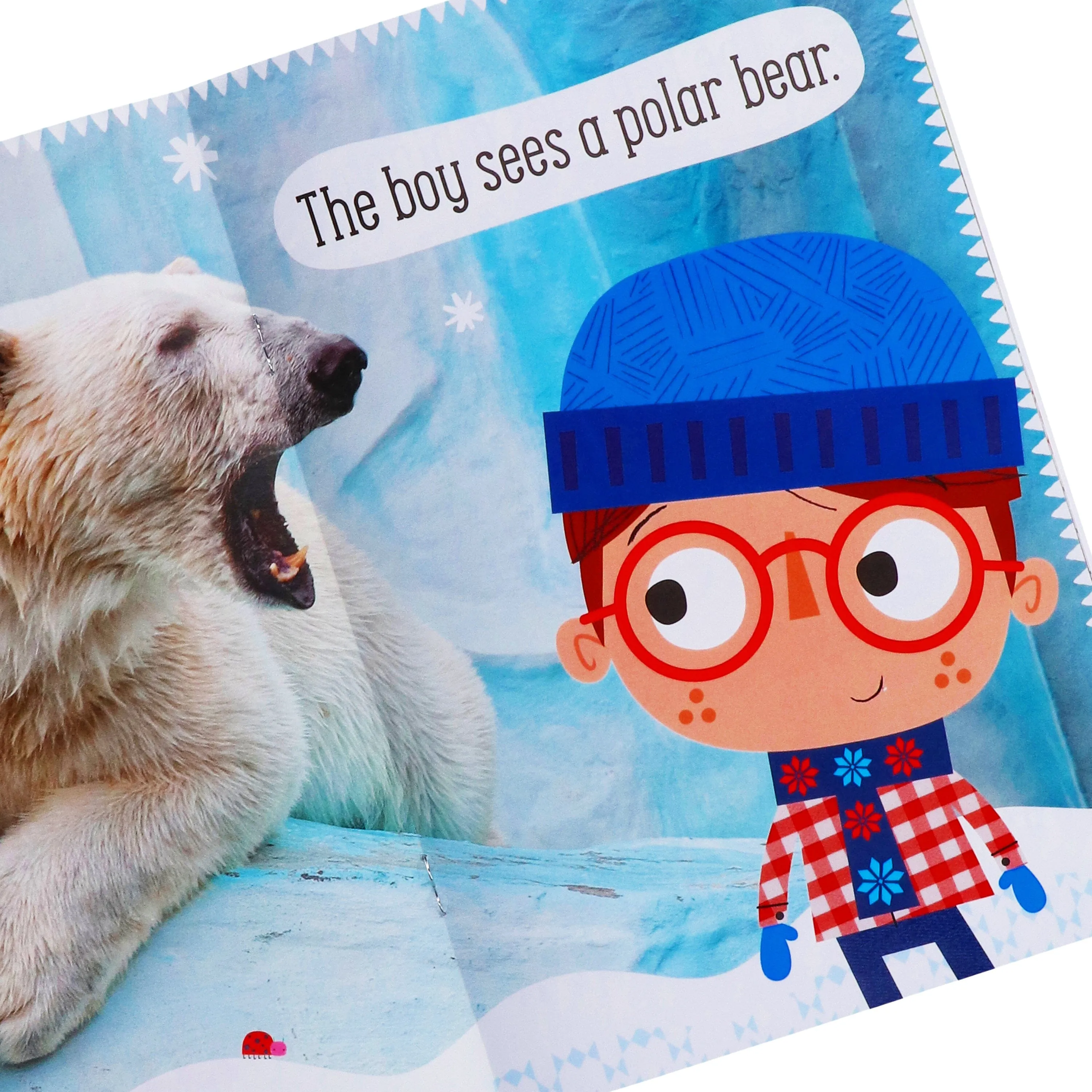 Amazing Animals By Make Believe Ideas 10 Readers Box Set - Ages 4  - Paperback
