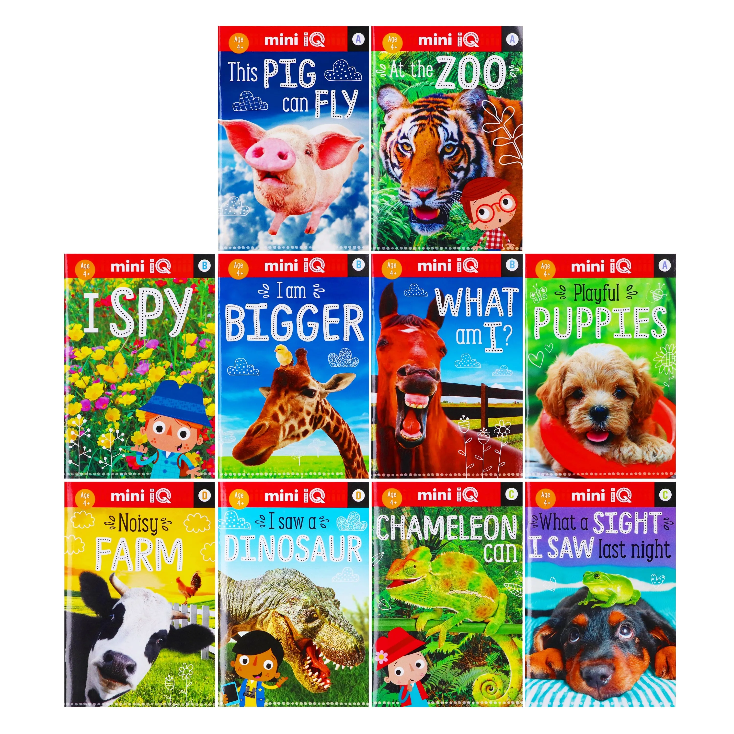 Amazing Animals By Make Believe Ideas 10 Readers Box Set - Ages 4  - Paperback