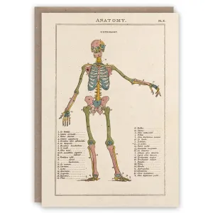 Anatomy Card