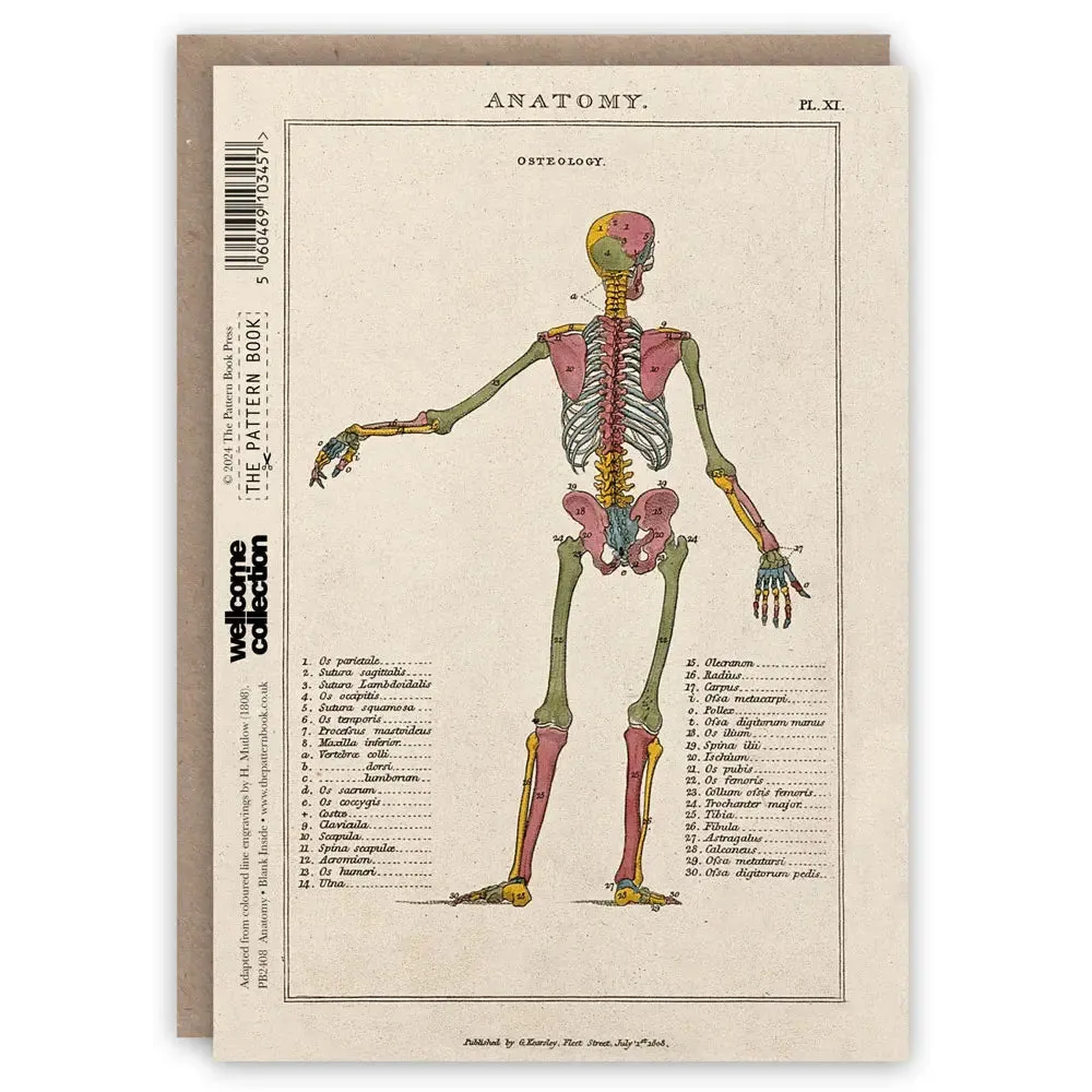 Anatomy Card