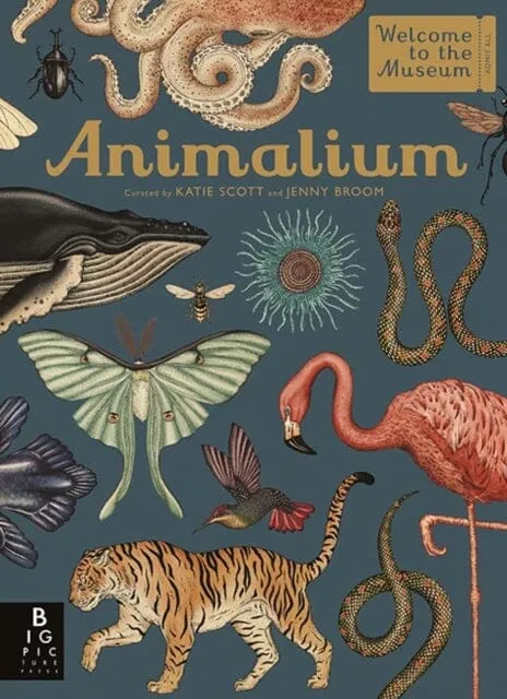 Animalium by Jenny Broom