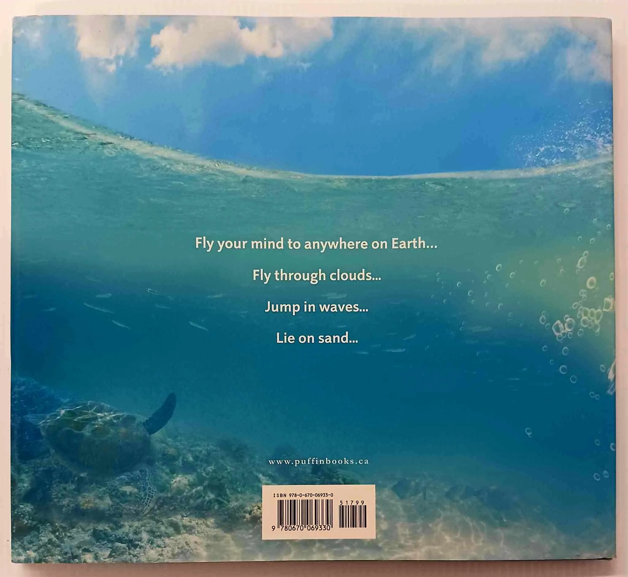 AWESOME IS EVERYWHERE - Neil Pasricha