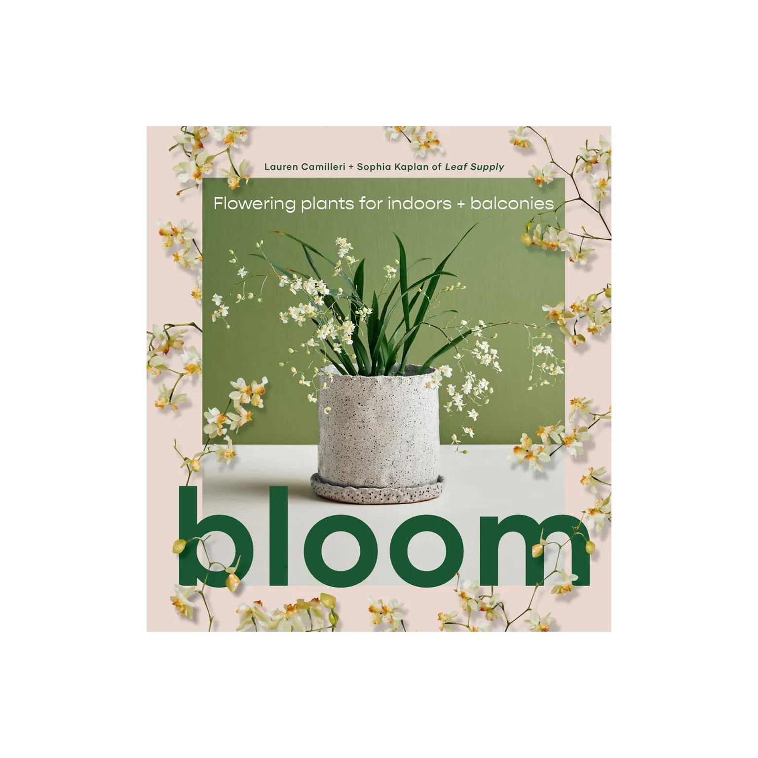 Bloom: Flowering Plants for Indoors   Balconies