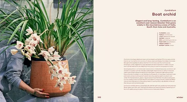 Bloom: Flowering Plants for Indoors   Balconies