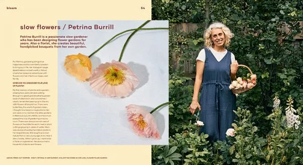 Bloom: Flowering Plants for Indoors   Balconies