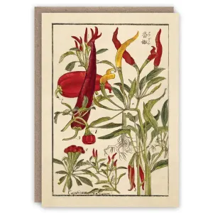 Chilli Peppers Card