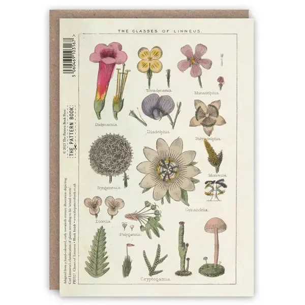 Classes of Linnaeus Card