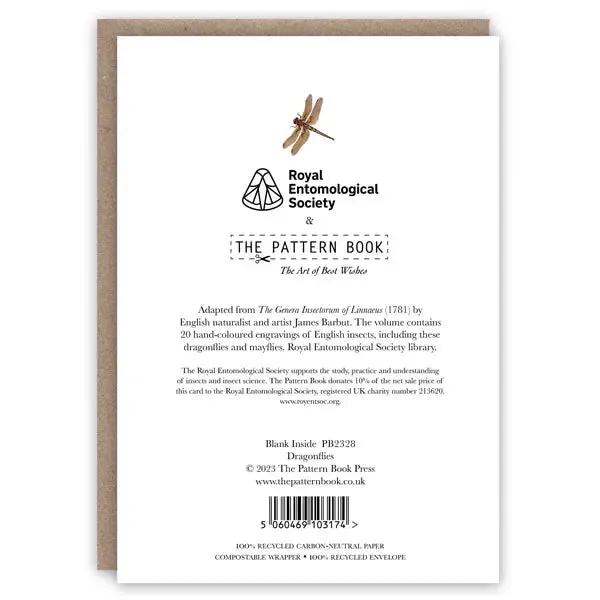 Dragonflies Card