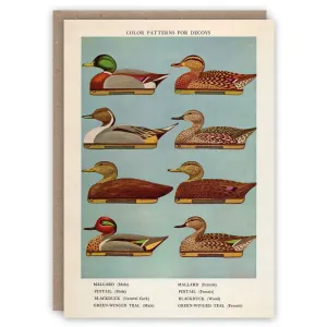 Duck Decoys Card