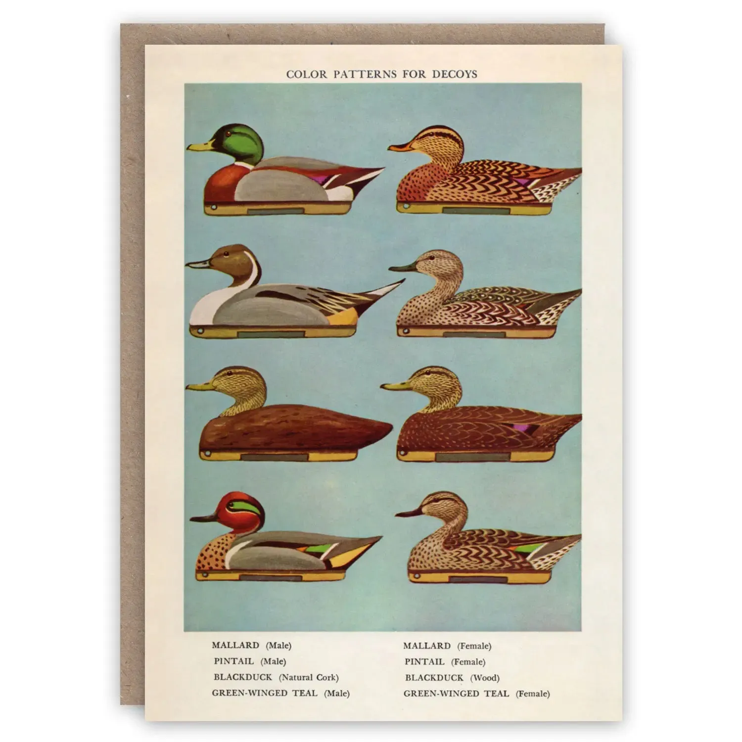 Duck Decoys Card