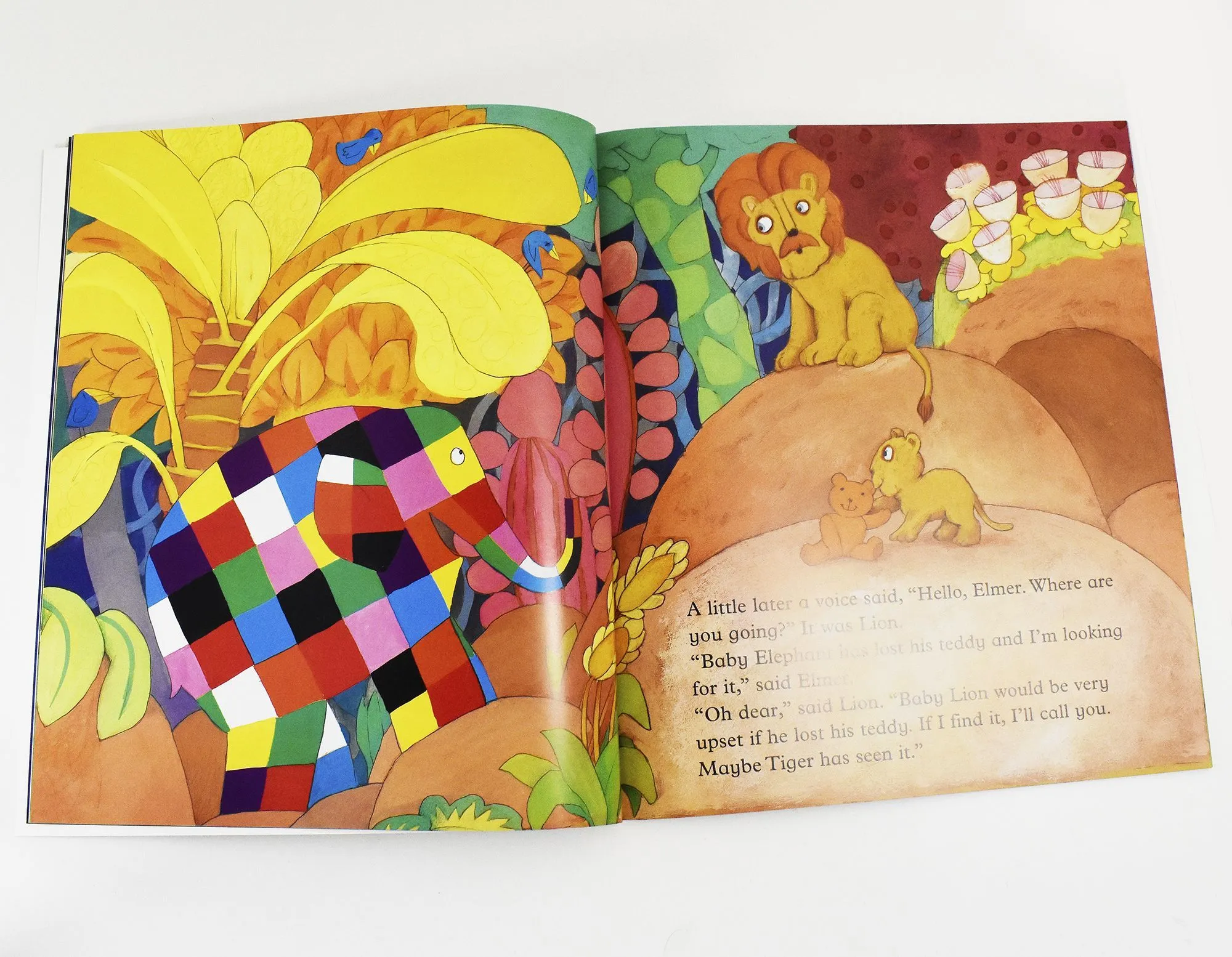 Elmer Picture 12 Books Collection by David McKee - Ages 5  - Paperback