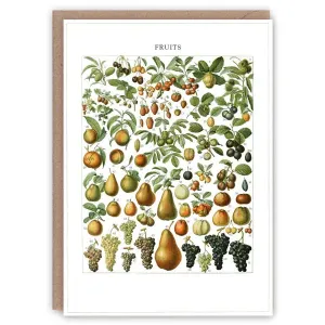 Fruits Card