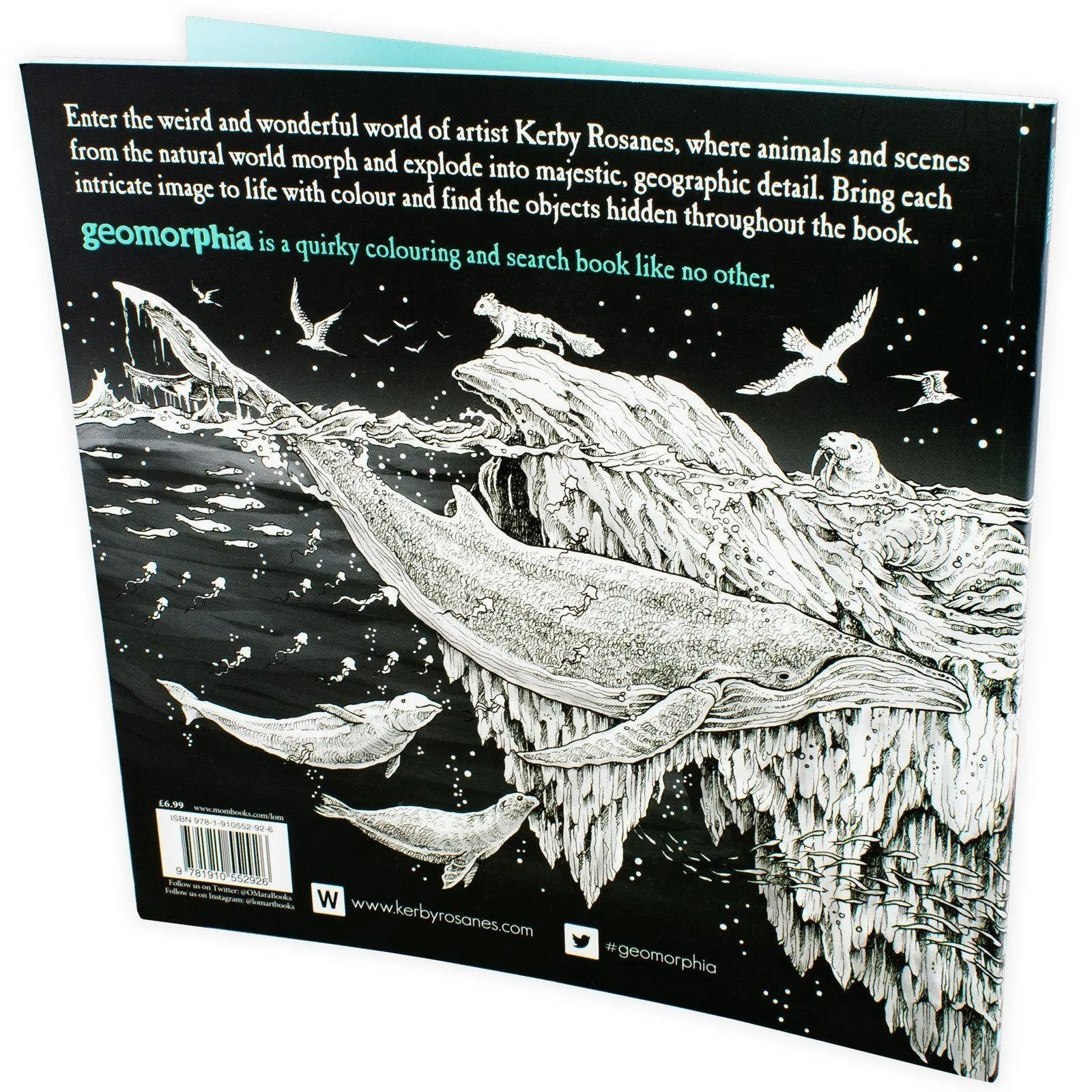 Geomorphia by Kerby Rosanes - Ages 9-14 - Paperback