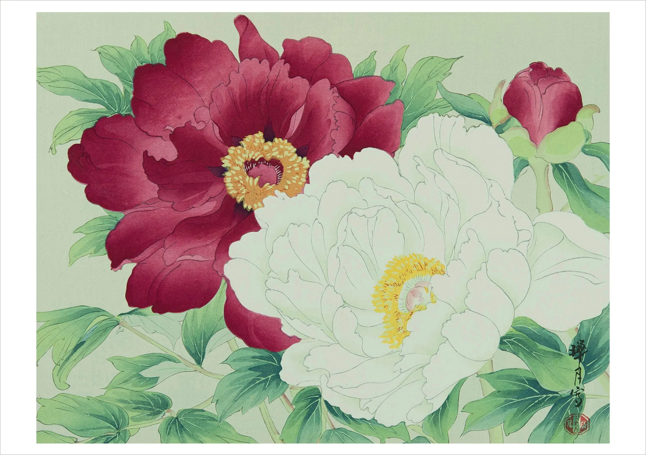 Haiku - Boxed Assorted Note Cards