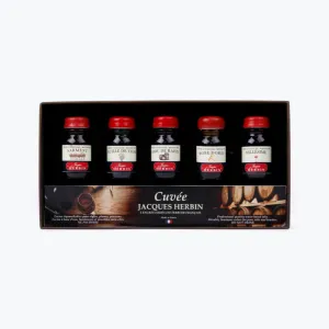 Herbin - Fountain Pen Ink - Set of 5 - Cuve