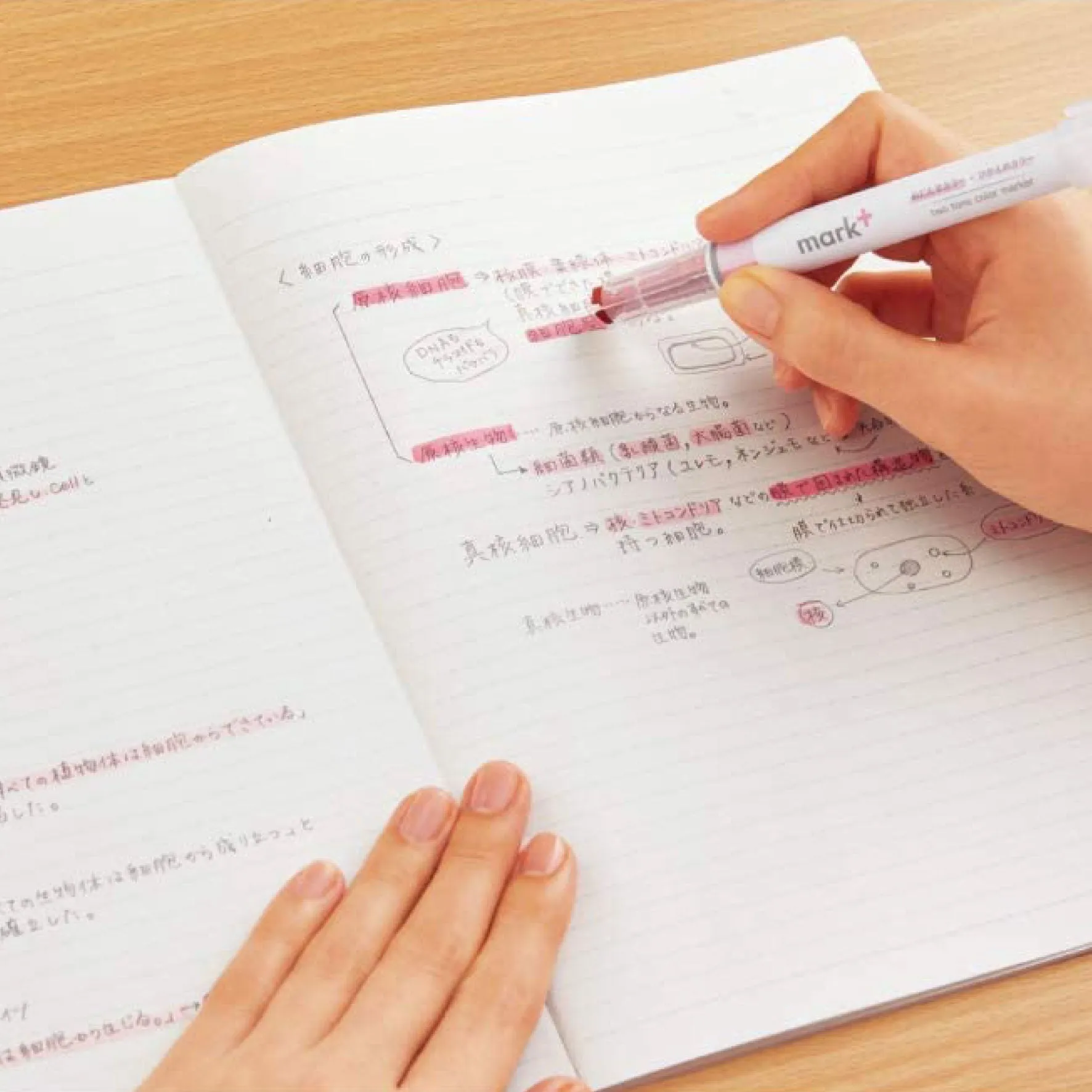 Kokuyo - Highlighter - Mark  Dual Tone
