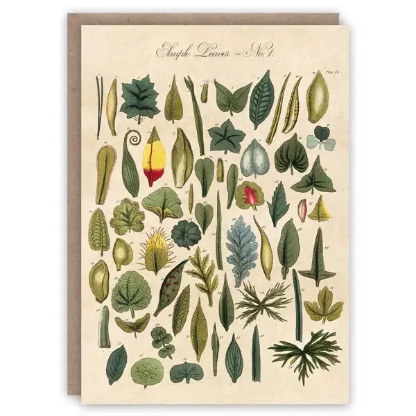 Leaves Card