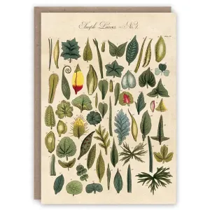 Leaves Card