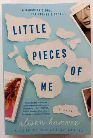LITTLE PIECES OF ME - Alison Hammer