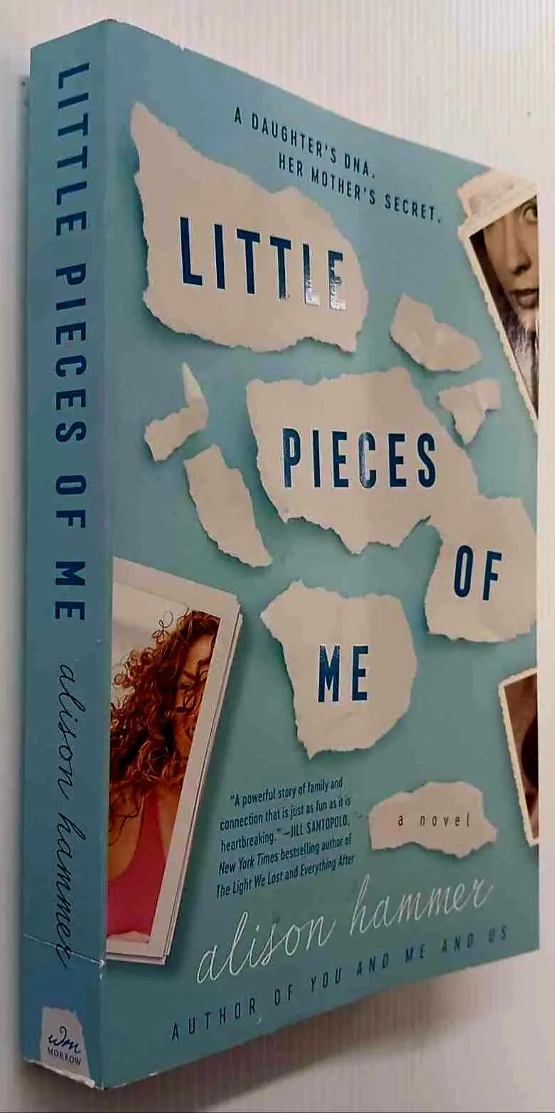 LITTLE PIECES OF ME - Alison Hammer