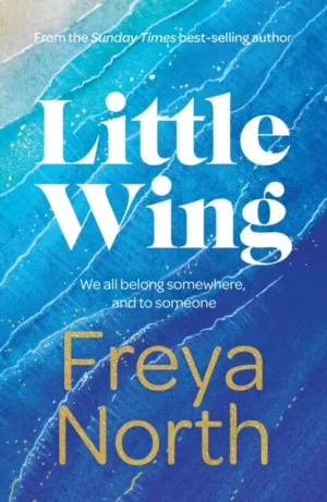 Little Wing  by Freya North