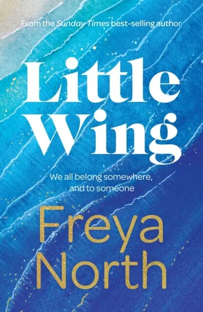 Little Wing  by Freya North