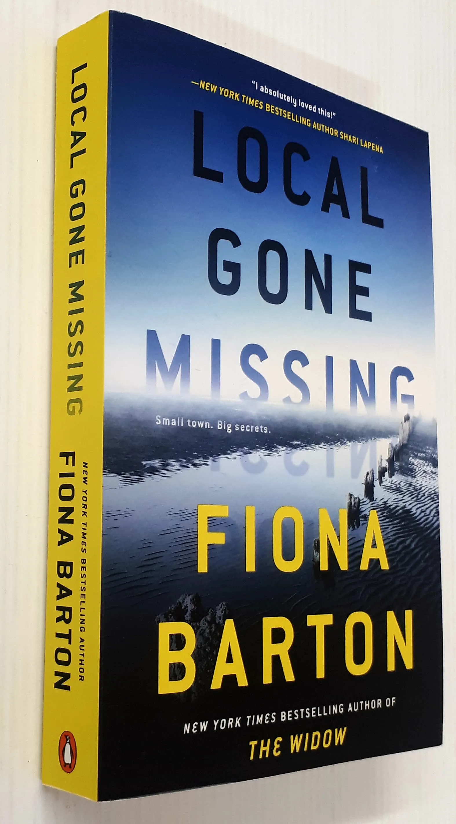 LOCAL GONE MISSING - Fiona Barton