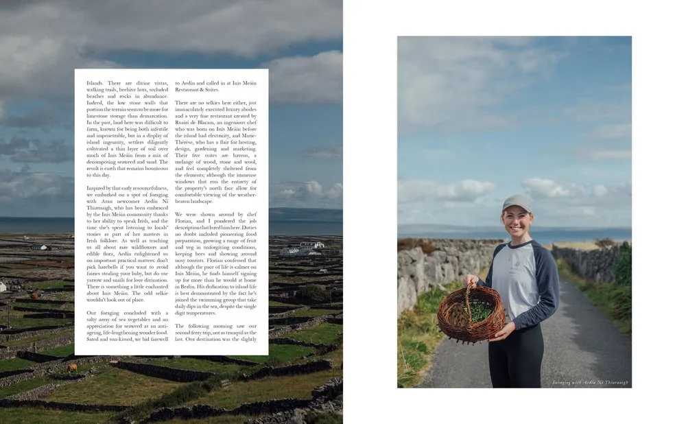 Lodestars Anthologies Issue 17: Ireland