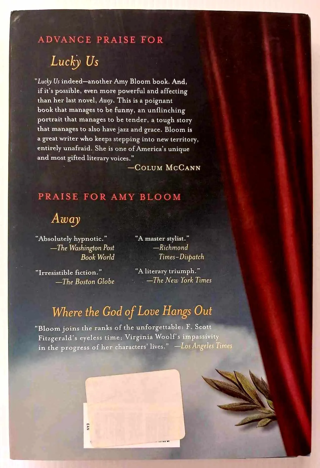 LUCKY US - Amy Bloom