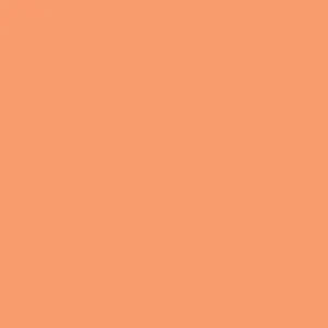 Marvy Uchida - Brush Pen - Le Plume II - Butterscotch #83