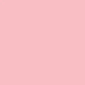 Marvy Uchida - Brush Pen - Le Plume II - Coral Pink #35