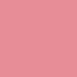 Marvy Uchida - Brush Pen - Le Plume II - Victorian Rose #80