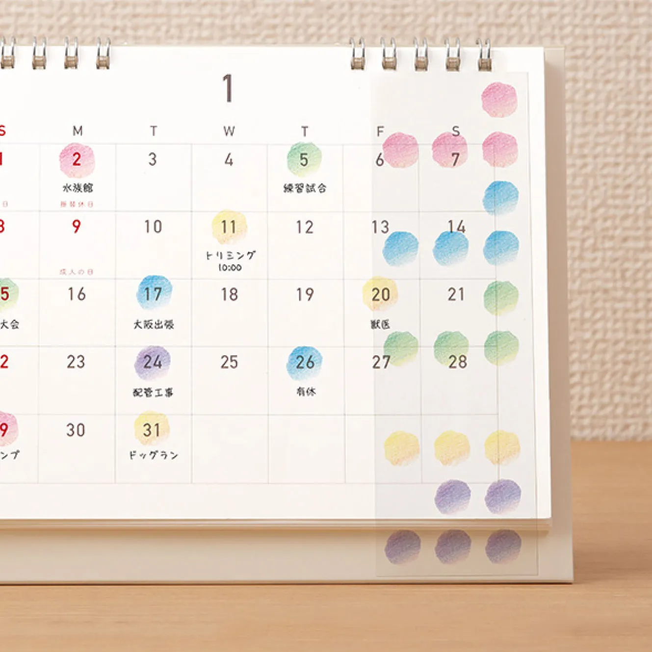 Midori - Planner Sticker - Calendar - Cats <M>