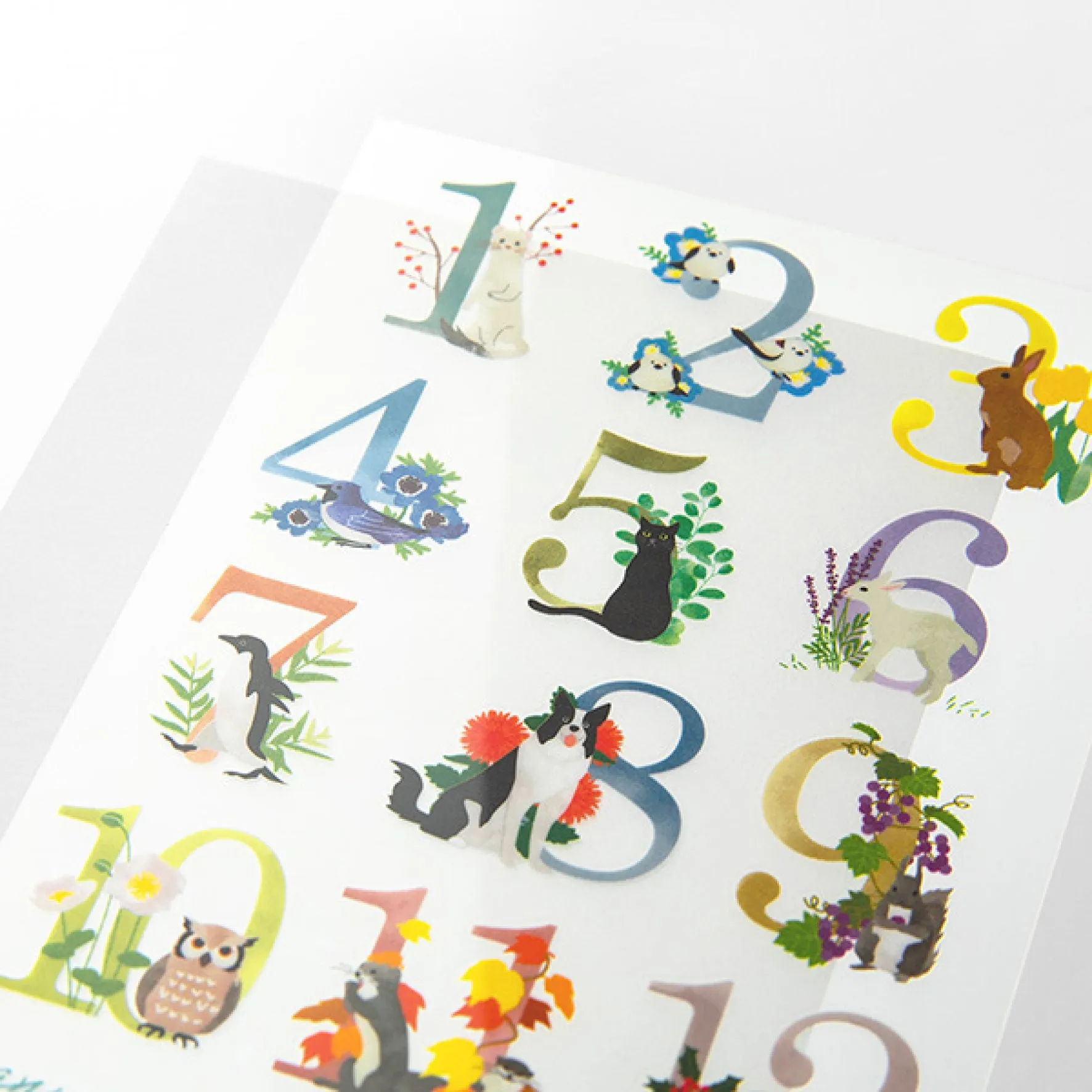 Midori - Sticker Seal - Transfer - Month