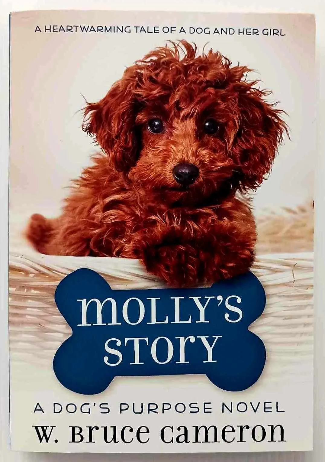 MOLLY'S STORY - W. Bruce Cameron