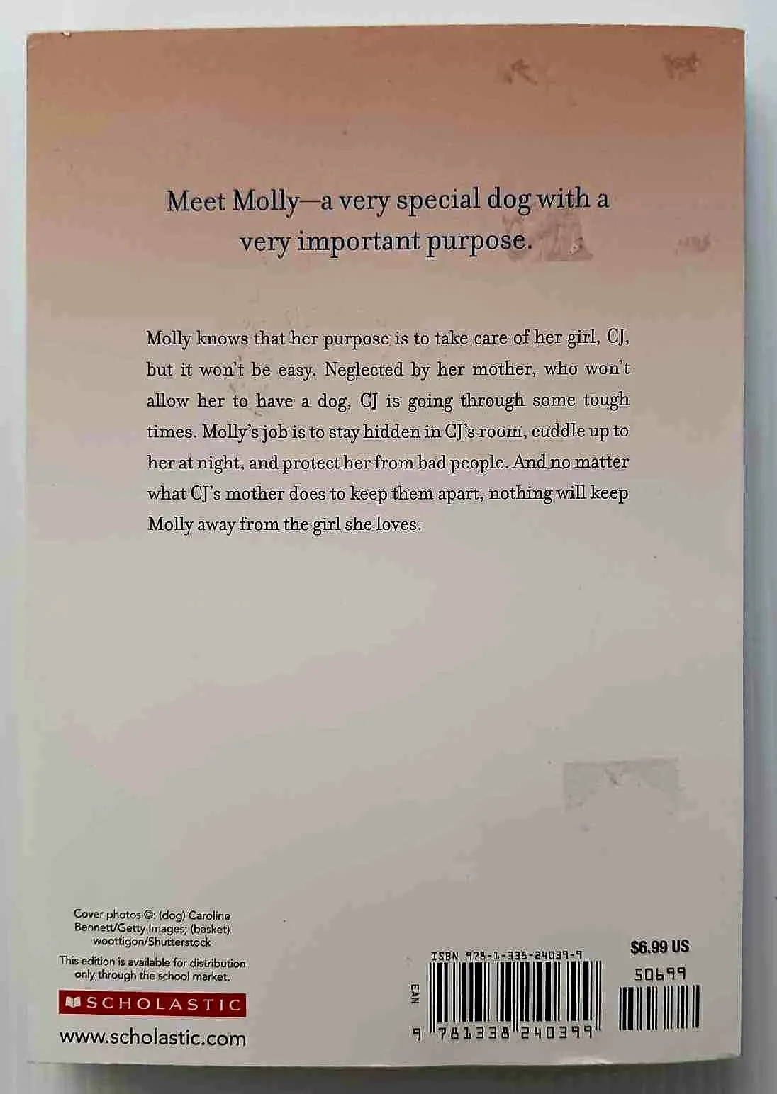 MOLLY'S STORY - W. Bruce Cameron