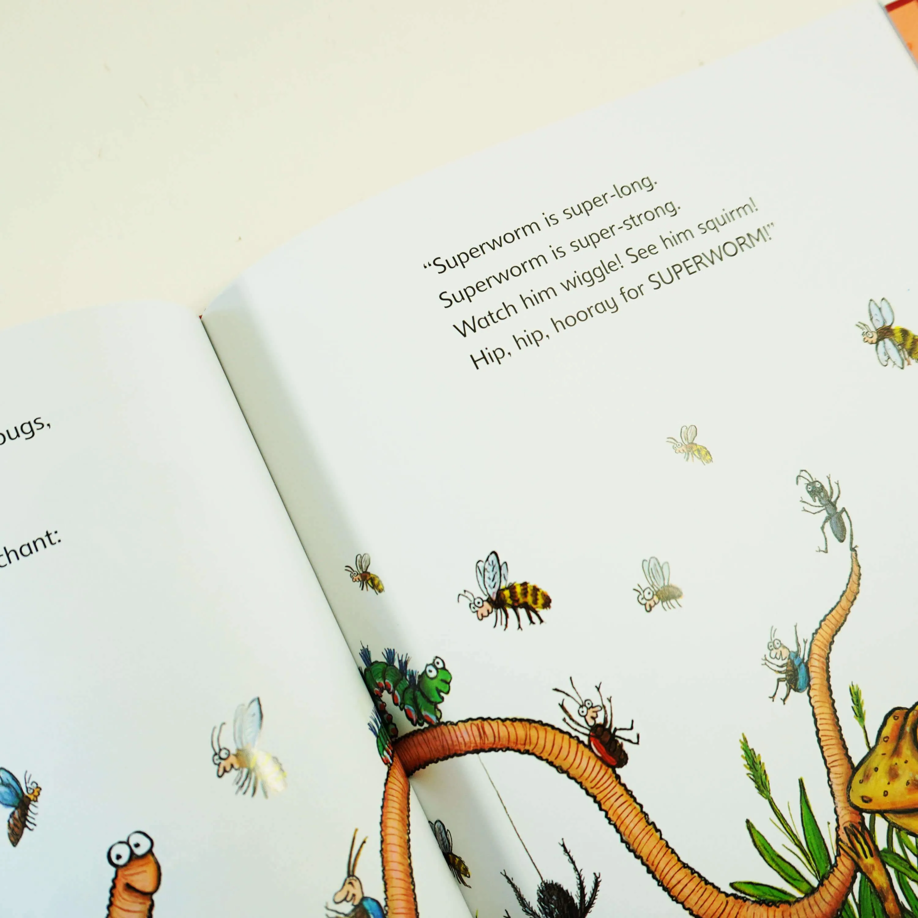 My Story Treasury (Stick Man, Superworm, The Scarecrows' Wedding, Zog and the Flying Doctors & Activities) By Julia Donaldson - Ages 5-7 - Hardback