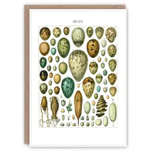 Oeufs Card