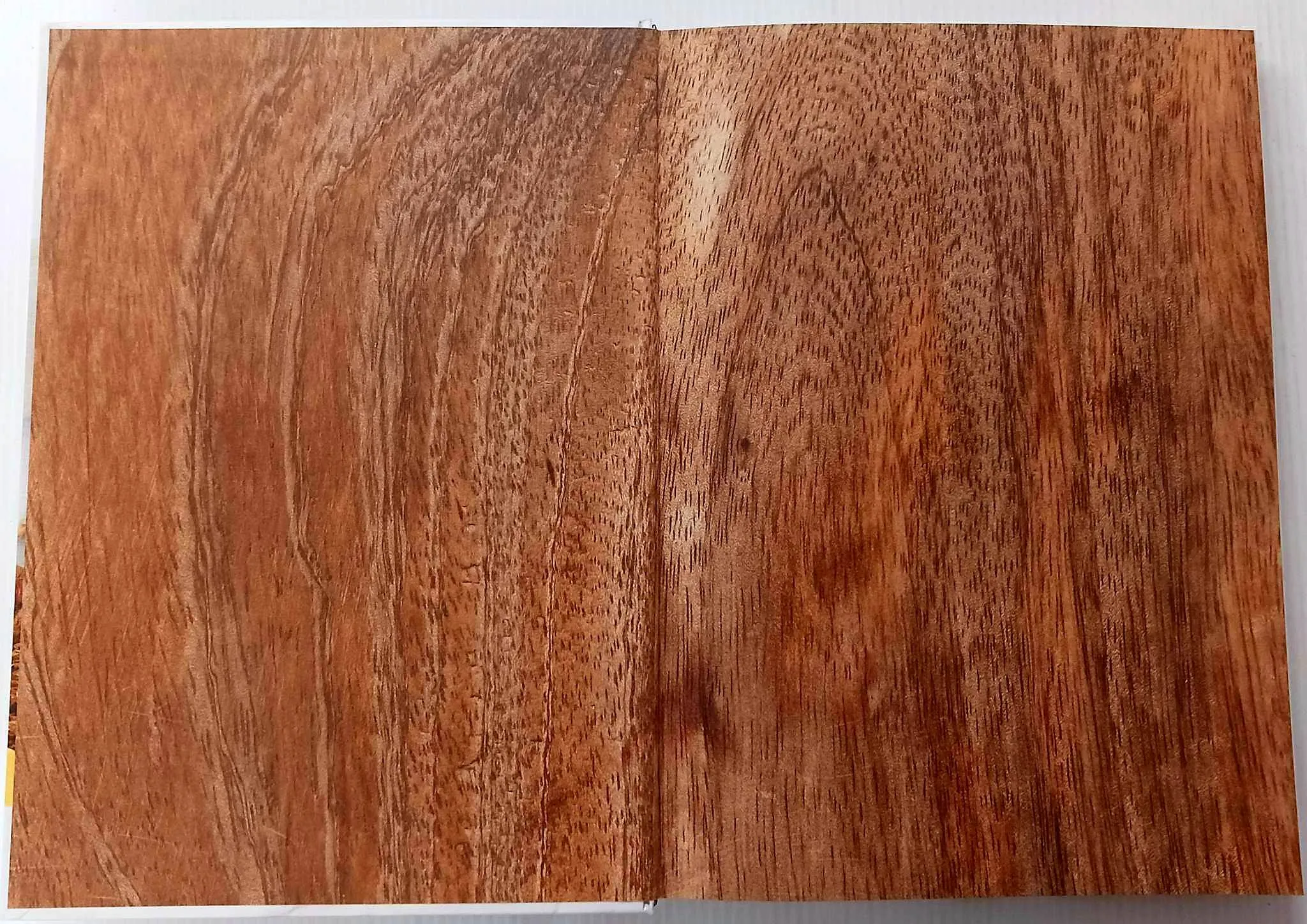 ON BOARDS - Lisa Dawn Bolton