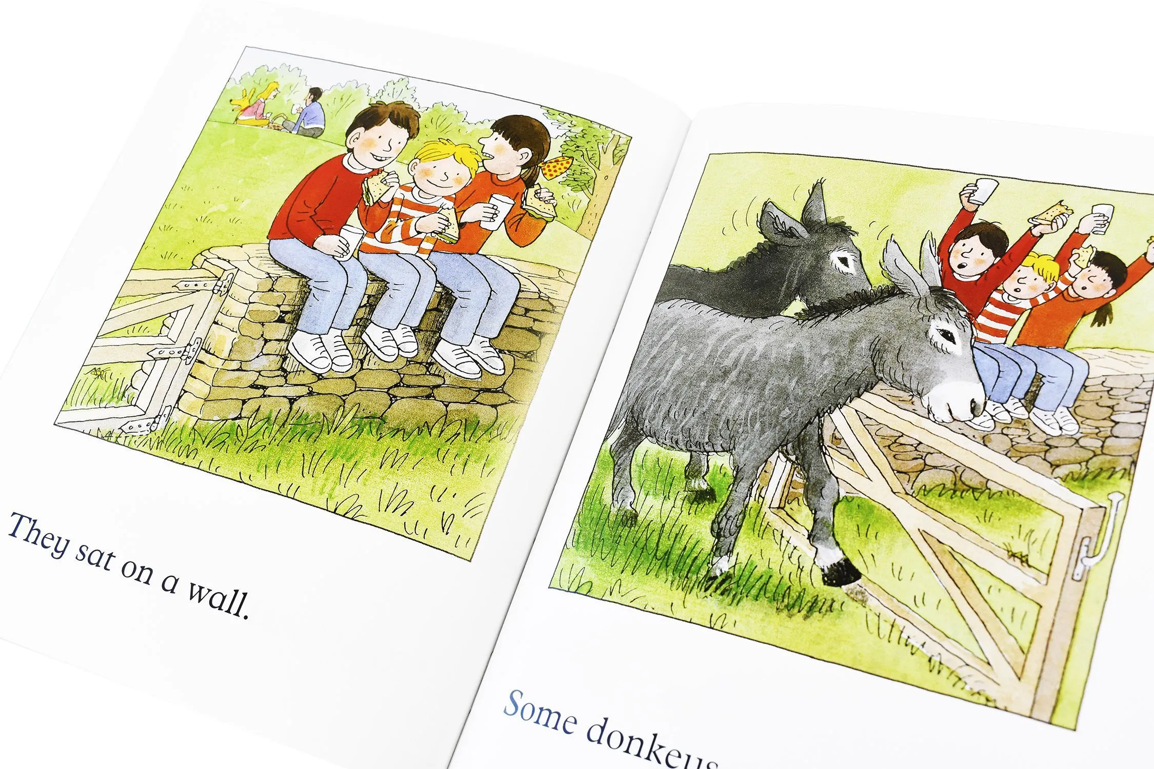 Read with Biff, Chip and Kipper Phonics and First Stories 24 Books Collection (Level 4-6) - Ages 5-7 - Paperback - Roderick Hunt and Alex Brychta