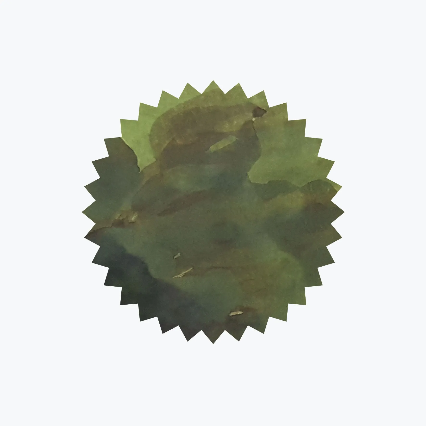 Robert Oster - Fountain Pen Ink - Signature - Crocodile Green